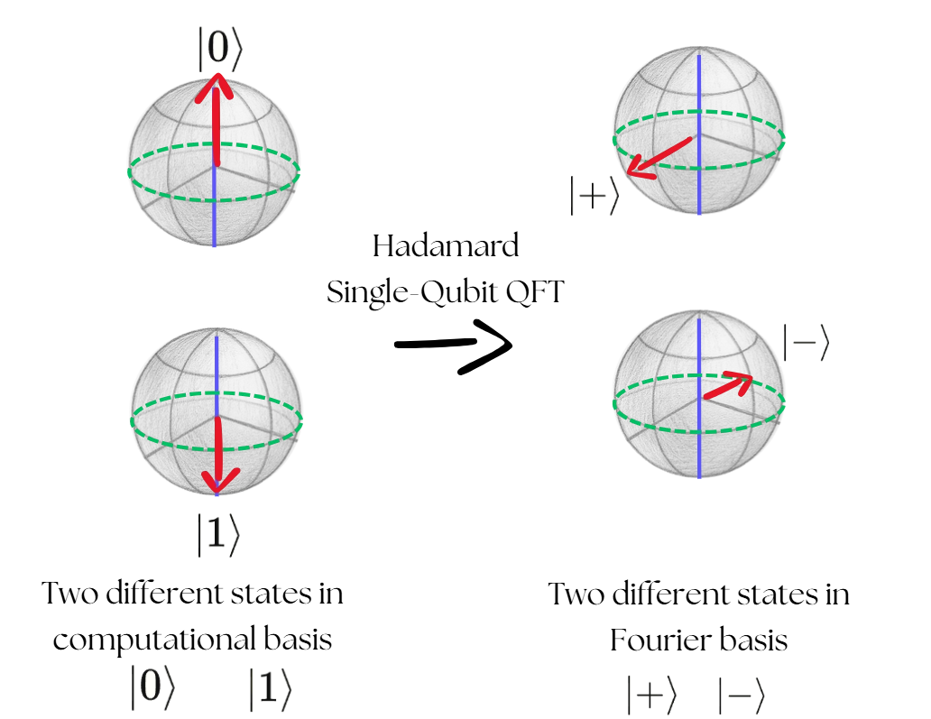 The effect of the Hadamard operator